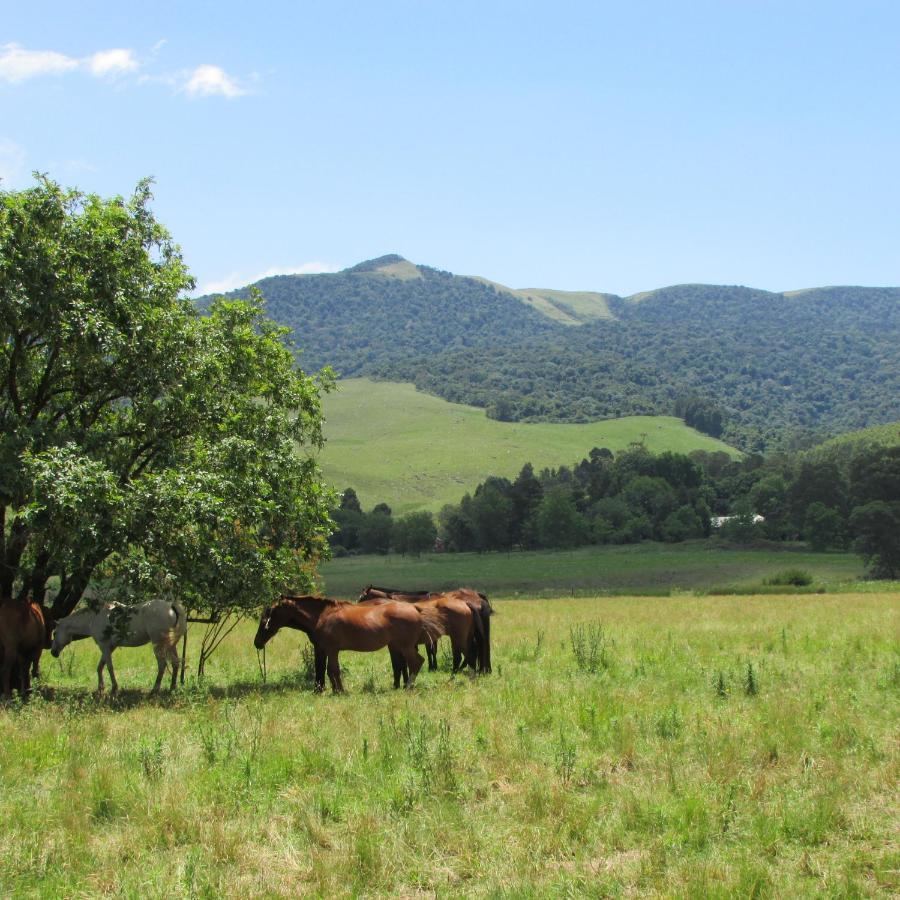 Karkloof Hideout Villa Howick Buitenkant foto
